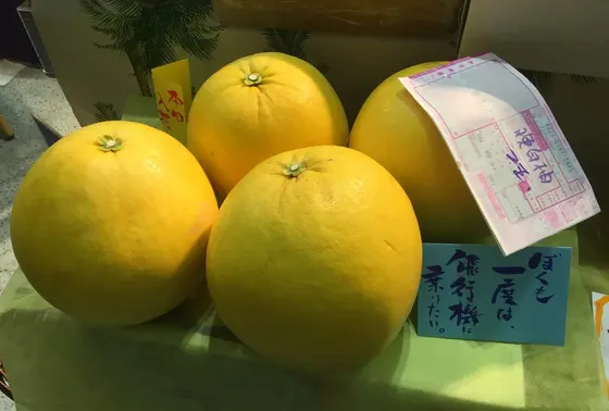 ばんぺいゆがわがまま言っています（笑）