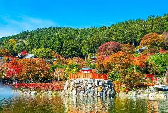 秋の勝尾寺