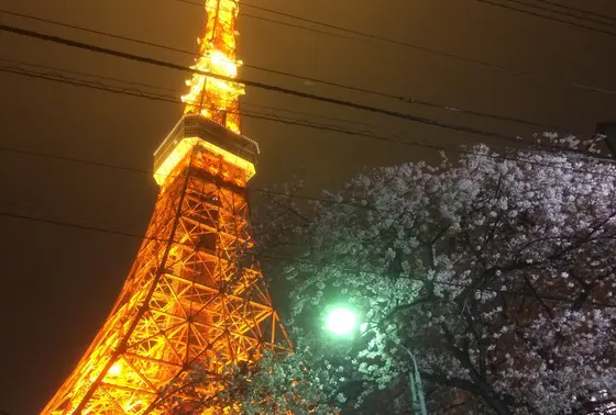 東京タワー