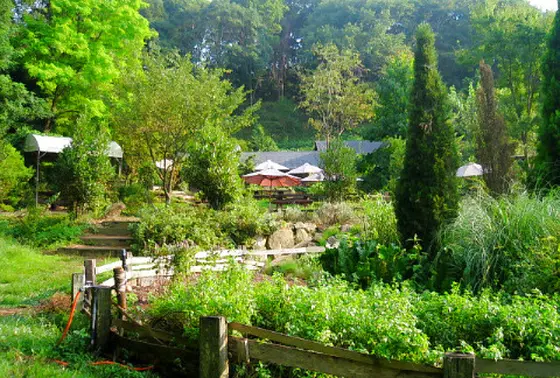 避暑地としても!