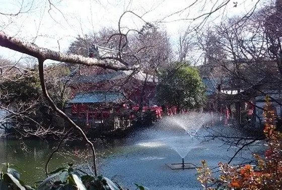 綺麗
