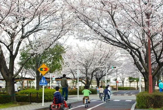 自転車などの乗り物を借りて交通ルールを学ぼう！