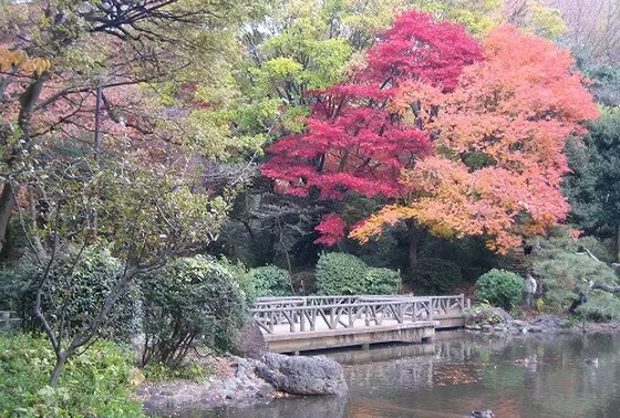 木陰でのんびりであれば池の周りがおススメです。