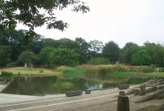 池