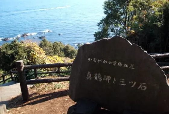 見所