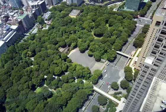緑が多い公園で癒される