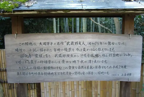 大岡昇平の小説「武蔵野夫人」の舞台