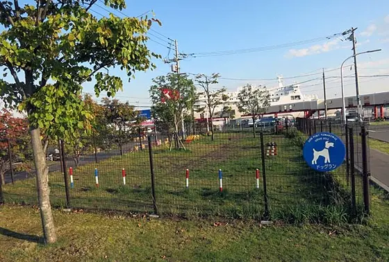 苫小牧港 ドッグラン