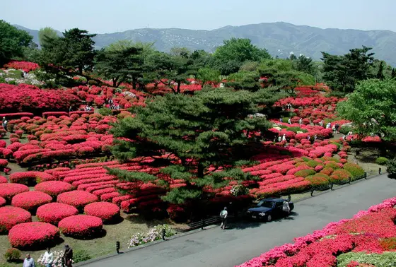 スポット内のおすすめ
