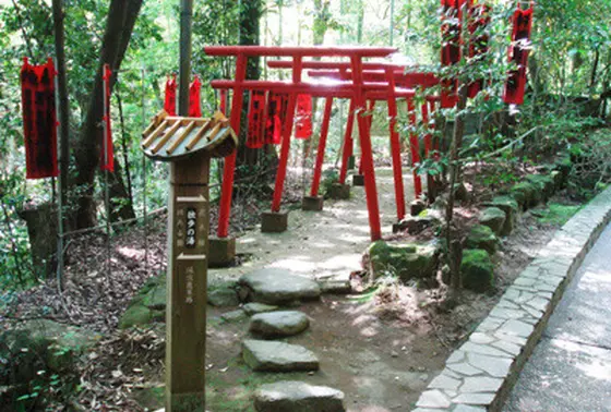 狸福神社