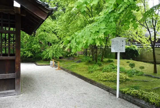 葵の庭