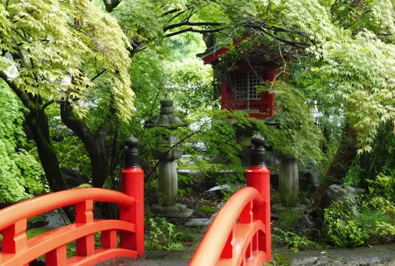 弁天さまの伝説の池