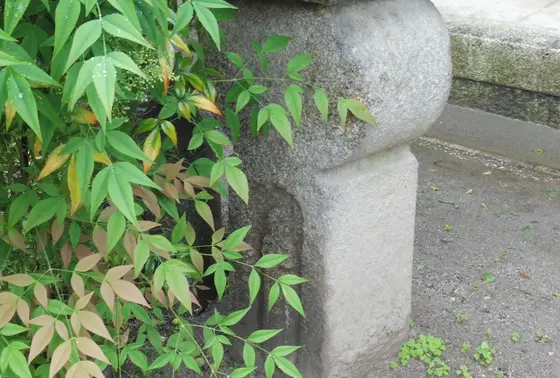 切支丹灯籠を発見（？）