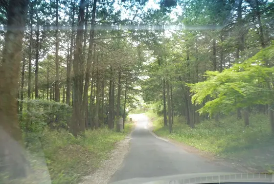 細い山道を上がっていきます