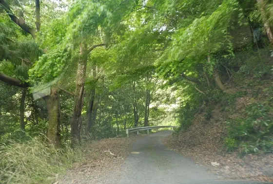 細い山道を上がって行きます