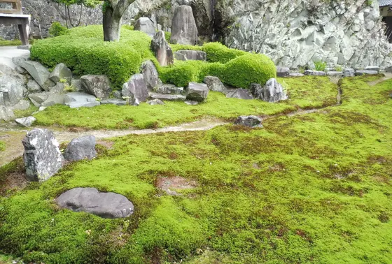 書院の西側にも庭園が…！
