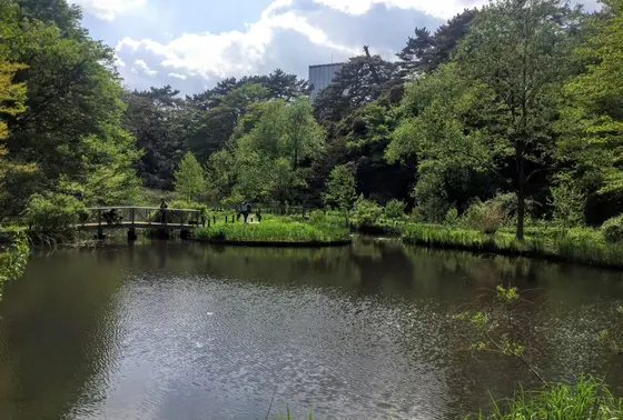 公園の中心の湿地帯