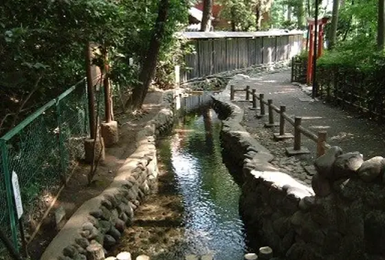本当にお水がキレイすぎる