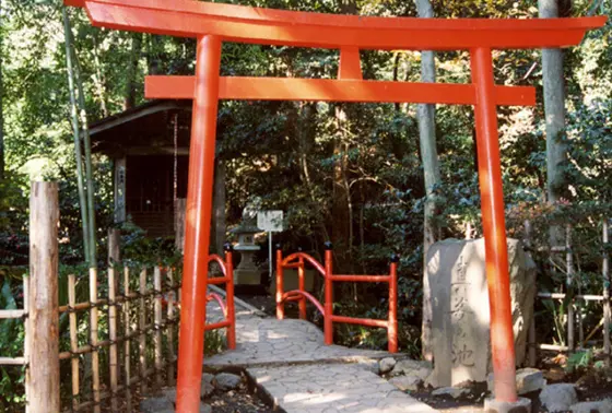 神秘的な空間