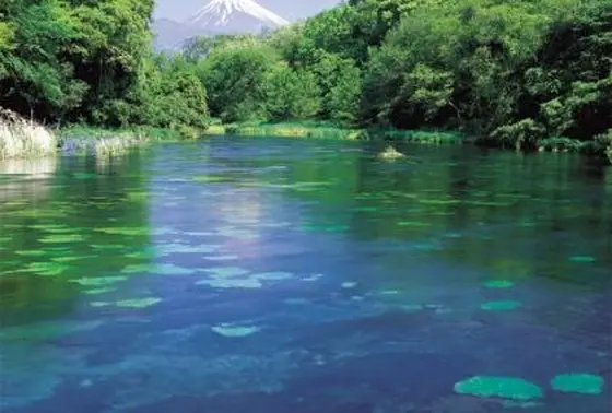 湧き出る水