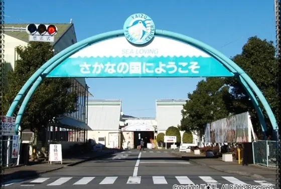 言わずと知れた静岡の台所