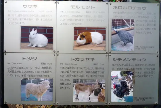 スポット内のおすすめ
