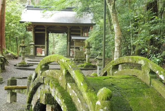 苔むした太鼓橋