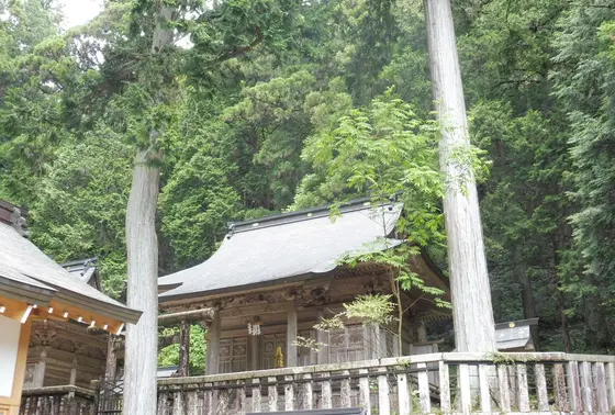 ここでパワーを感じる…？
