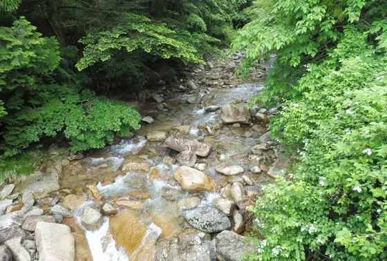 高賀渓谷
