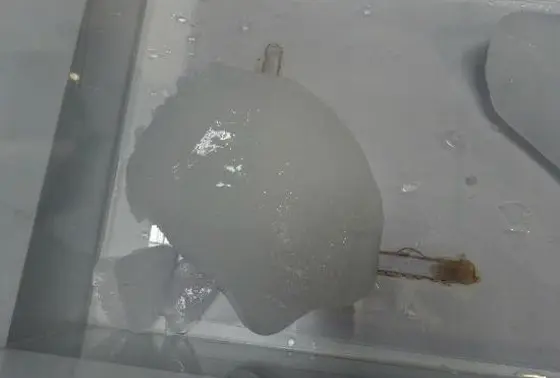 南極の氷