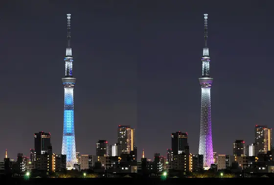 基本ライトアップは２色。