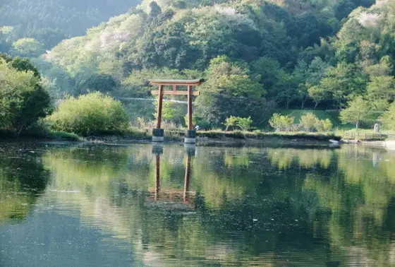 鳥居もあります