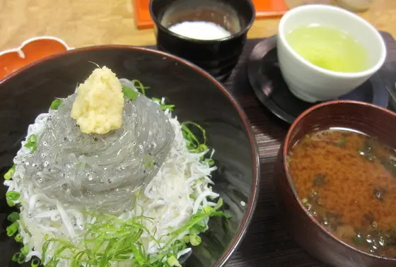 鎌倉といえばしらす🐟