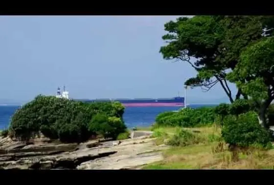 浦賀水道は船の博物館！