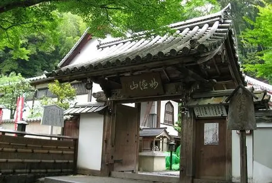 バスが便利