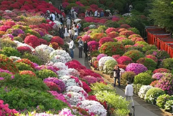 花々鮮やかな季節