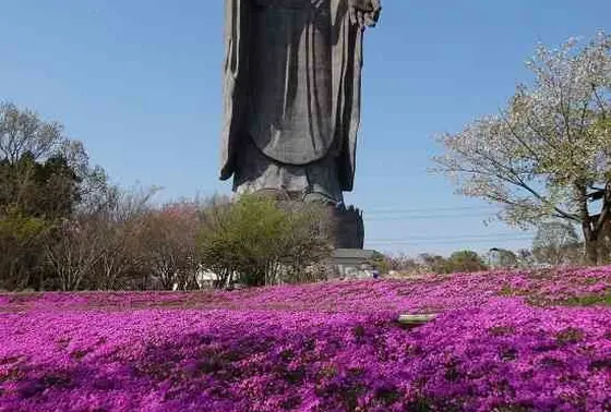 浄土庭園