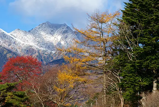 南アルプスの風景