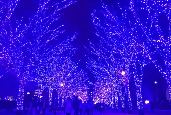 今年の冬は…❄️