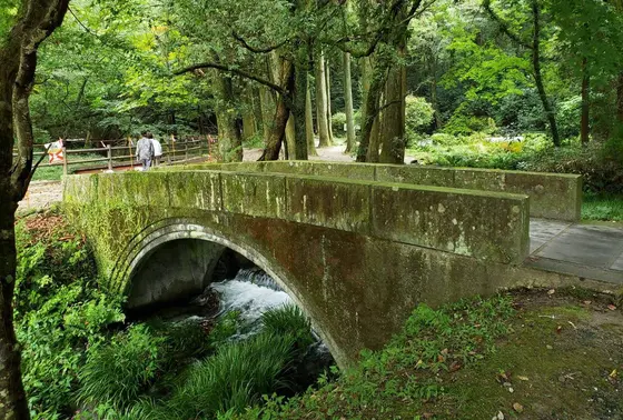 0967-25-2211（産山村役場）