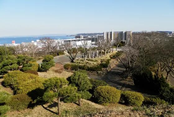 園内で咲き乱れる１万本もの花木
