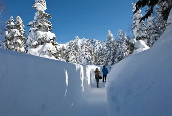 雪の回廊