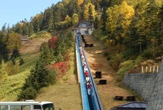 みんなで仲良く並んで乗車♪