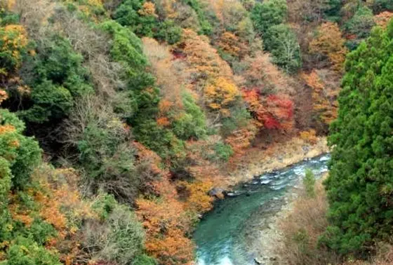 紅葉の道志川!