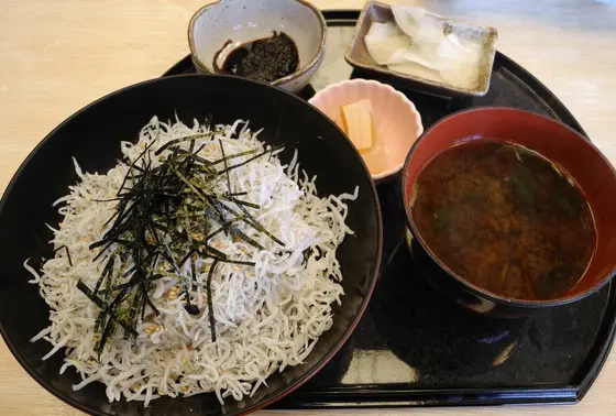 しらす丼に会いたかった