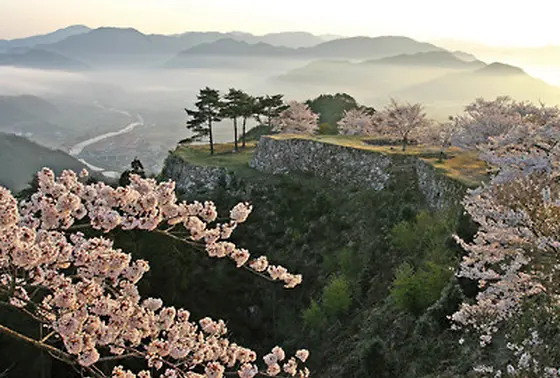 春は桜が美しい