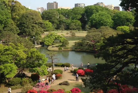 高台からの眺め