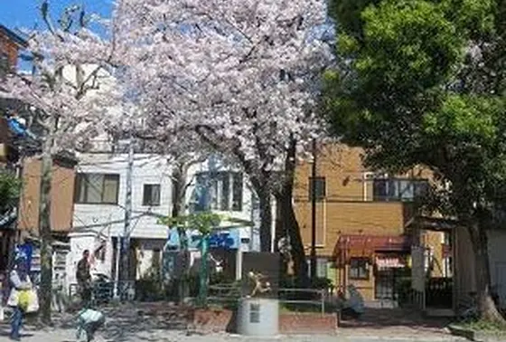 桜の木