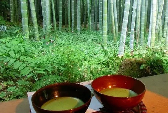 報国寺