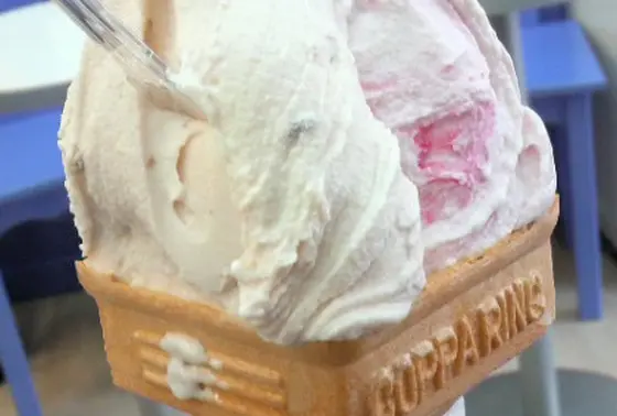 本格的ジェラート
